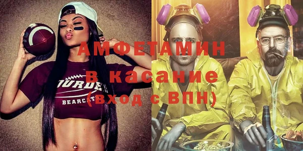 шишки Баксан