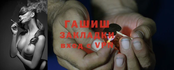 шишки Баксан