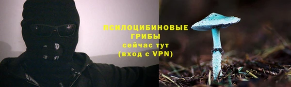 шишки Баксан