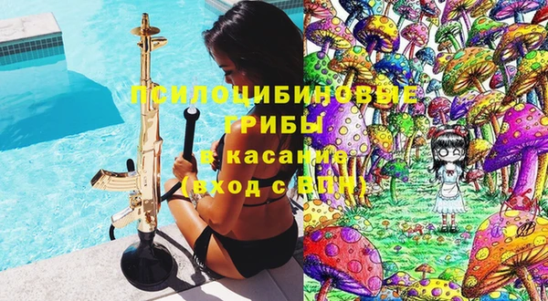 шишки Баксан