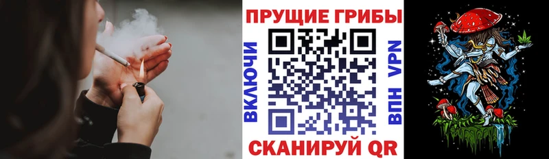 Псилоцибиновые грибы GOLDEN TEACHER  сайты даркнета наркотические препараты  Валдай  МЕГА сайт 